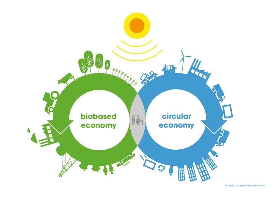Circular economy.jpg