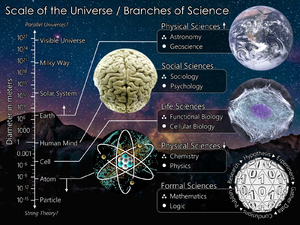 The Scientific Universe.png
